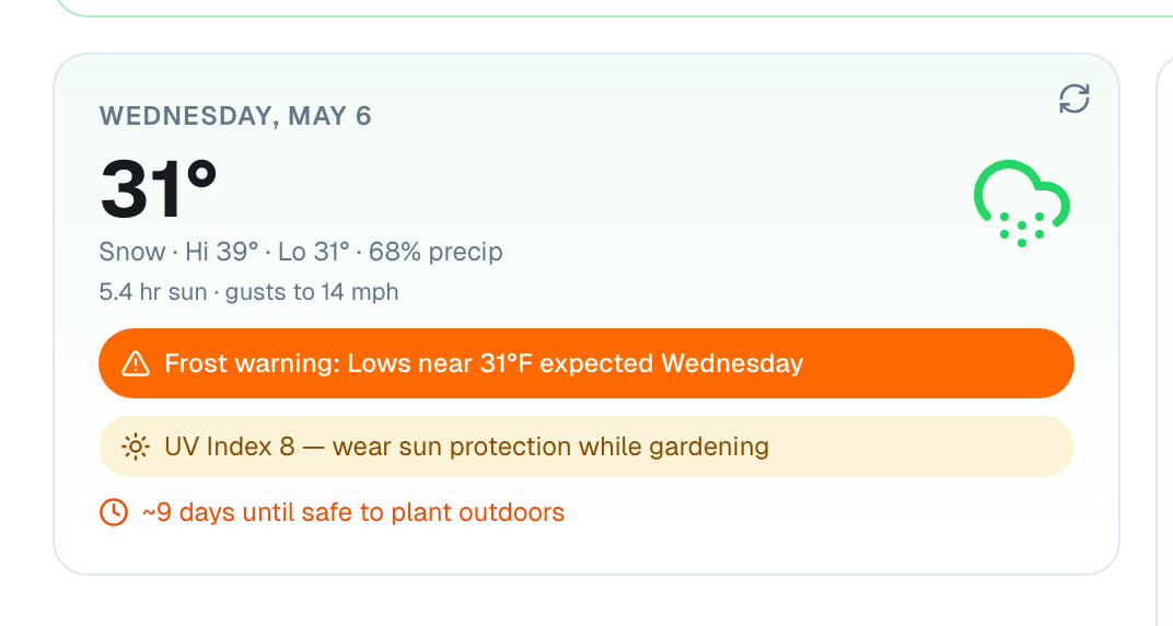 Close-up of the weather card and hourly strip